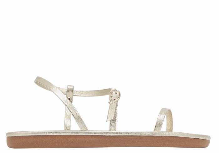 Sandales Bride Arrière Ancient Greek Sandals Niove   | PCW-1314992